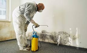 Mold Remediation for Rental Properties in Eldon, MO